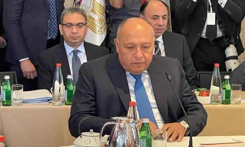 مصر والاتحاد الأوروبي شكري