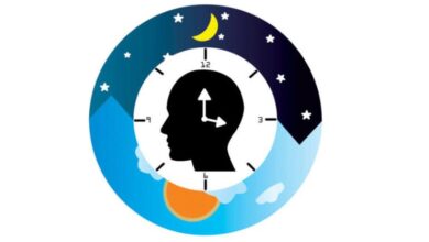 قرارات
