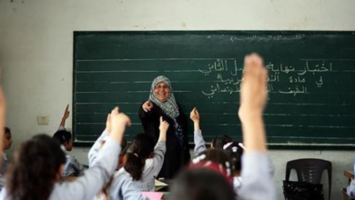 الأمية فلسطين