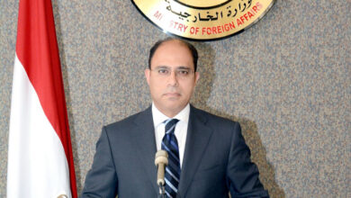 المستشار أحمد أبو زيد