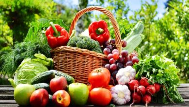 المواد الغذائية المفيدة في الخريف والشتاء