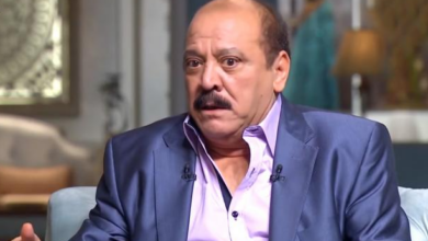 ضياء الميرغني فنان مصري