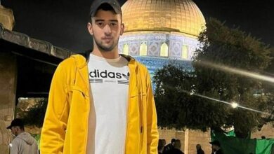 فايز دمدوم