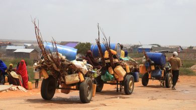الدول النامية