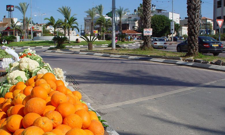 طيرة ال 48