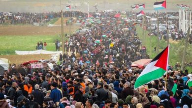 فلسطيني
