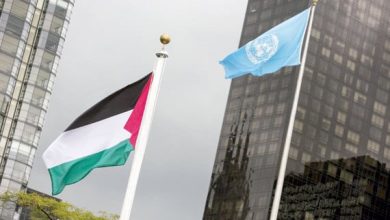 قرارات أممية لصالح فلسطين