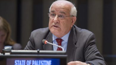فلسطين الأمم المتحدة