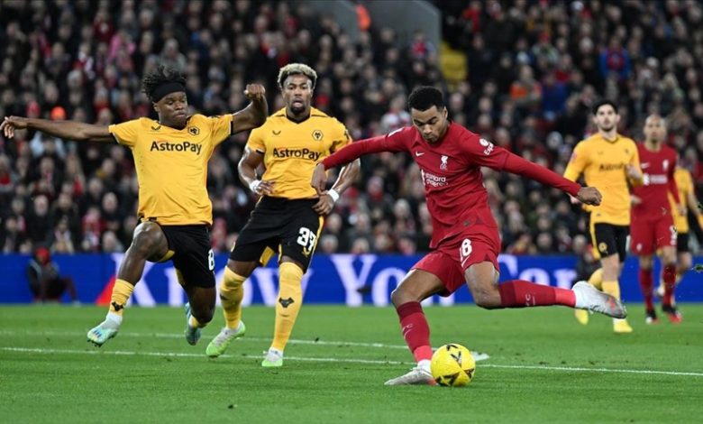 وولفرهامبتون ليفربول