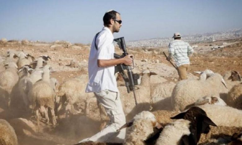 اعتداء المستوطنين