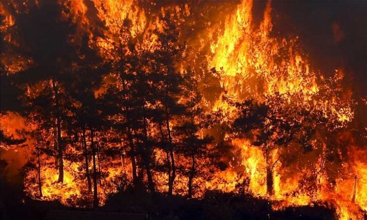 حرائق الغابات في سيول