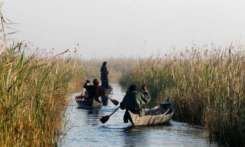 العراق