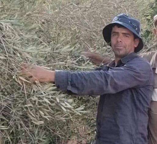 الساوية