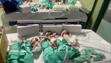 مجمع الشفاء