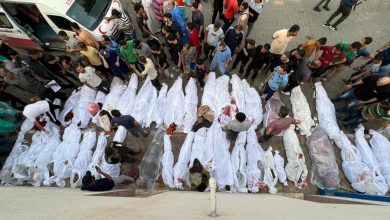 جثامين شهداء غزة