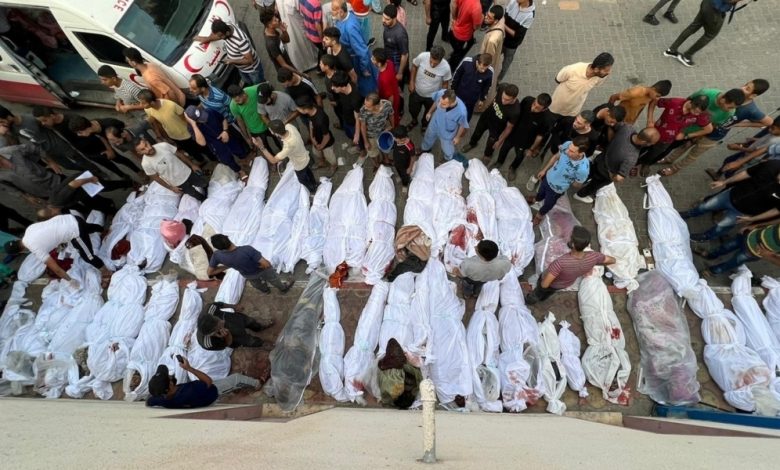 جثامين شهداء غزة