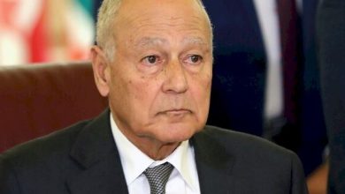 أبو الغيط