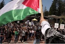 جامعات تدعم فلسطين