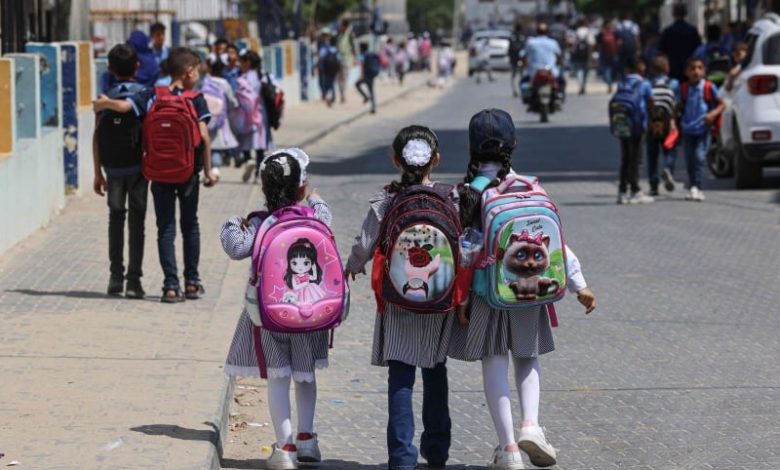 الأمية فلسطين