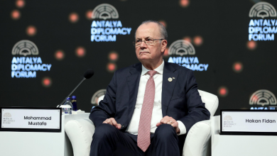 محمد مصطفى