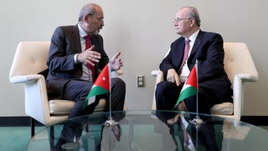 رئيس الوزراء محمد مصطفى