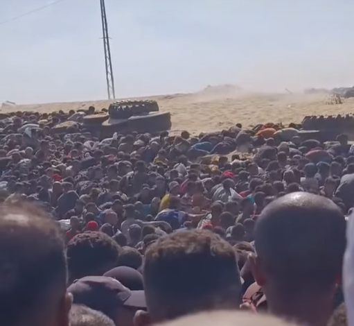غزة المجوعين