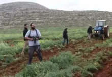 سنجل مستوطنون