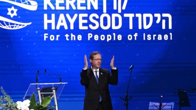 هرتسوغ