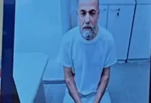 حسام أبو صفية